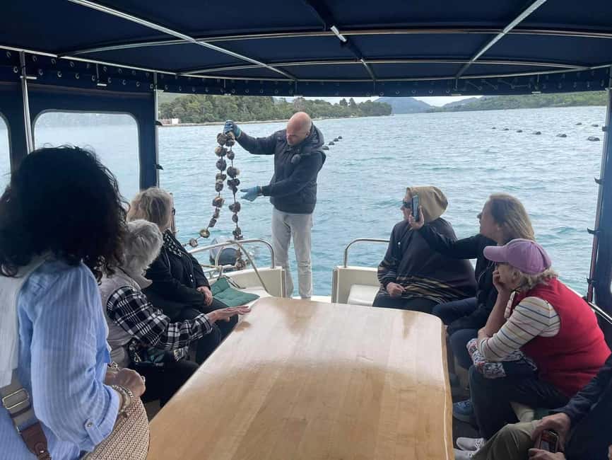Dubrovnik: Oyster, Mussles, and Wine Tasting Tour in Ston - Should you book this Ston oysters, mussels, and Pelješac wine tour?