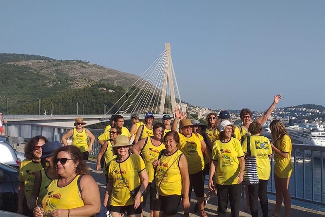 Dubrovnik Panorama Sightseeing with Tour Guide in Minivan - The A/C Van, Wi-Fi, and Small Group Size on Tight Streets