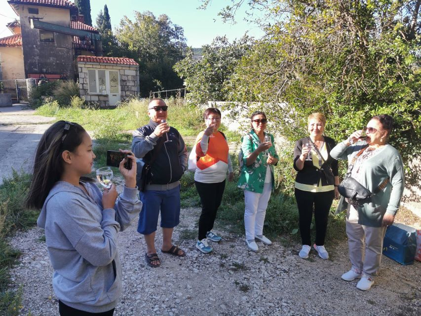 Dubrovnik: Panorama Tour with Free Time in the Old Town - Ombla River: the short nature break that actually feels good