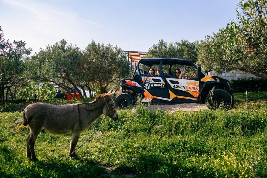 Dubrovnik: Private Buggy Safari Guided Tour (3 hours) - Why this buggy safari gives Dubrovnik a new angle