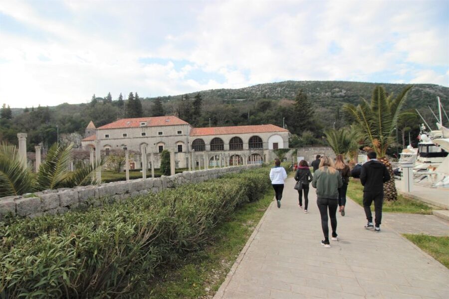 Dubrovnik: Private Cooking Experience with Wine Tasting - Peljesac wine tasting at a top winery