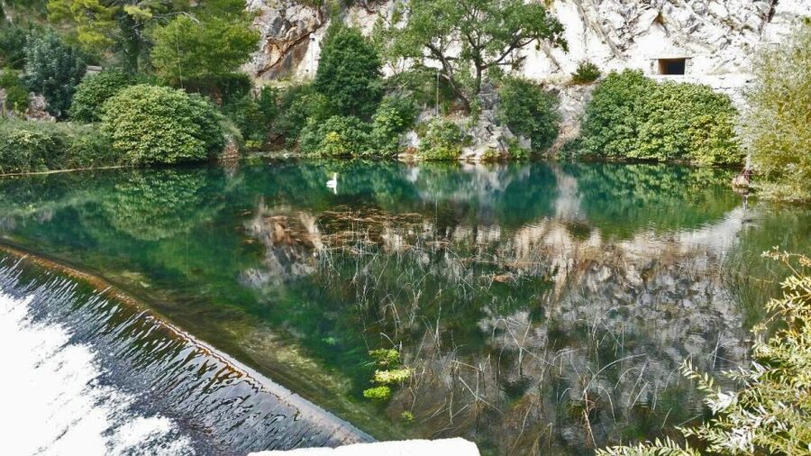 Dubrovnik: Private Cooking Experience with Wine Tasting - Who this Dubrovnik cooking and wine day suits best