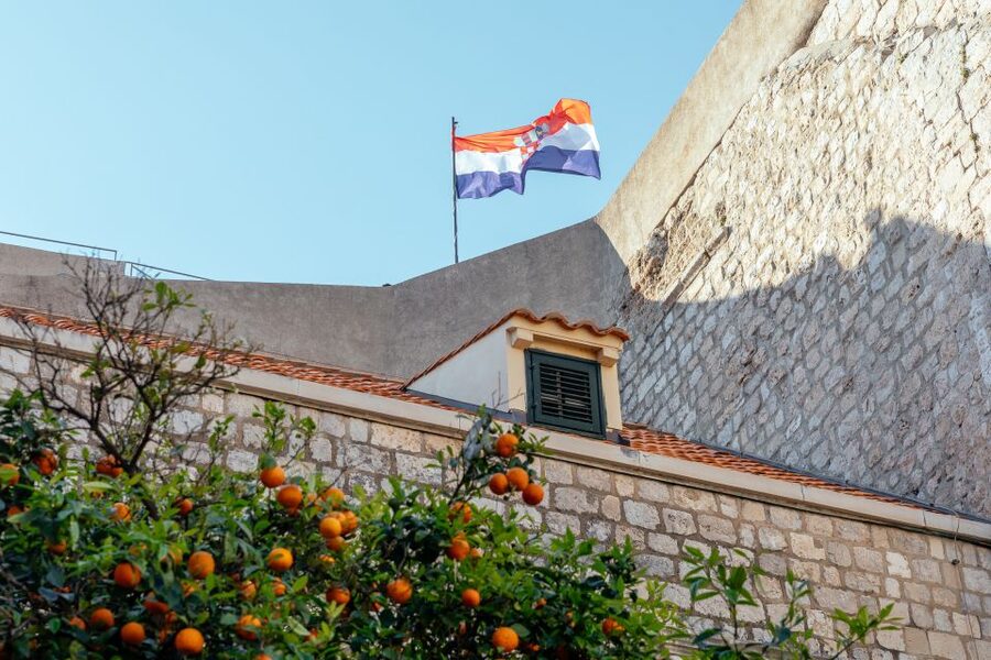 Dubrovnik: Private Family Friendly City Tour with Guide - Price and value for $76 per person