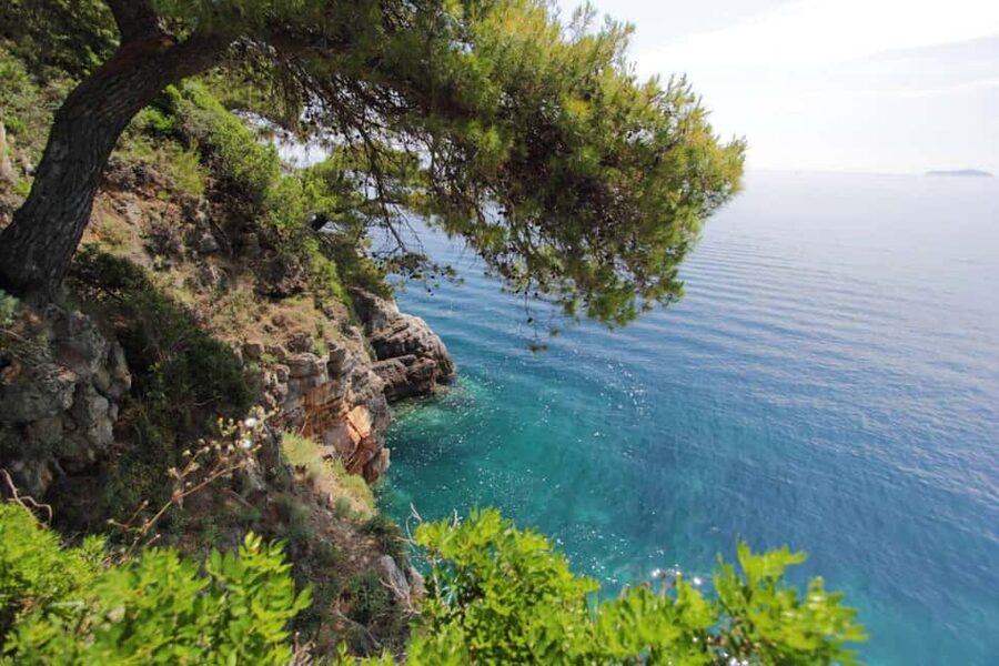 Dubrovnik: Private Luxury Yacht Tour to the Elaphite Islands - Who Should Book This Yacht Tour, and Who Should Skip It