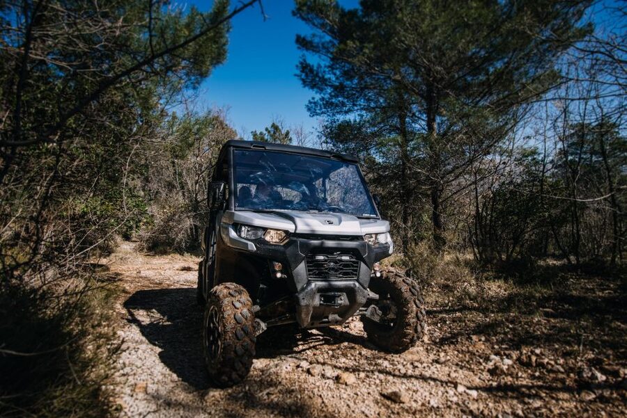Dubrovnik: Private Panoramic Half-Day Buggy Tour with Brunch - Countryhouse Ano Olive Oil Tasting and Refreshments