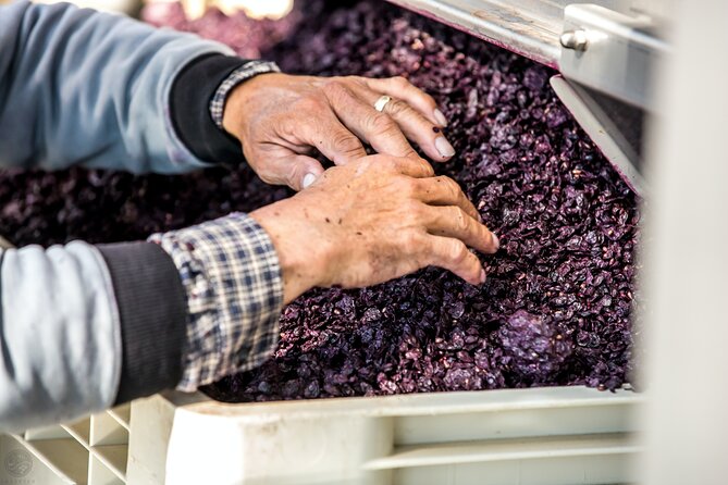 Dubrovnik Private Walking Tour and Wine - Price and what’s included in the $155.14 per person