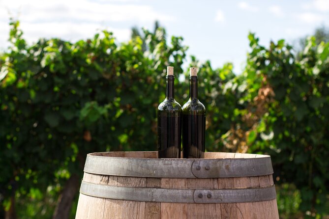 Dubrovnik Private Walking Tour and Wine - Should you book this Dubrovnik Private Walking Tour and Wine?