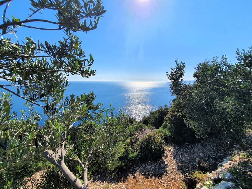 Dubrovnik Private Wine Tasting Tour To Peljesac - Practical Tips to Get the Best Day Possible