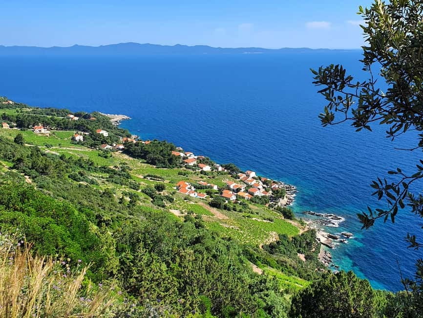 Dubrovnik Private Wine Tasting Tour To Peljesac - Driving Dubrovnik to Pelješac, the Scenic Way