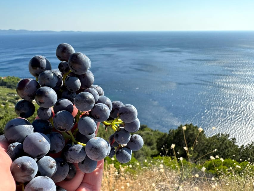 Dubrovnik Private Wine Tasting Tour To Peljesac - Lunch at Konoba Vitacea in Trstenik Bay