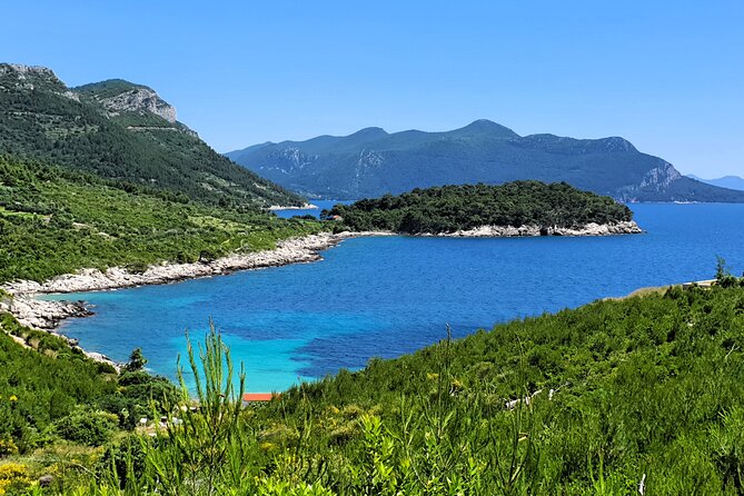 Dubrovnik Private Wine Tasting Tour to Peljesac Peninsula - Guide style, photo help, and making the day feel personal
