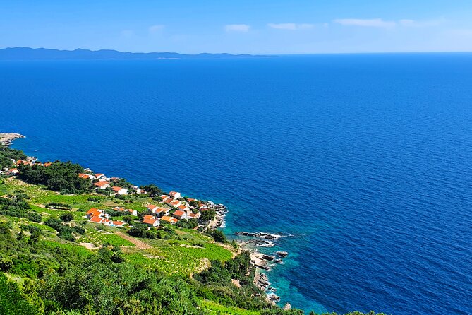 Dubrovnik Private Wine Tasting Tour to Peljesac Peninsula - Ćurlin Winery near Ponikve, traditional winemaking and Plavac Mali