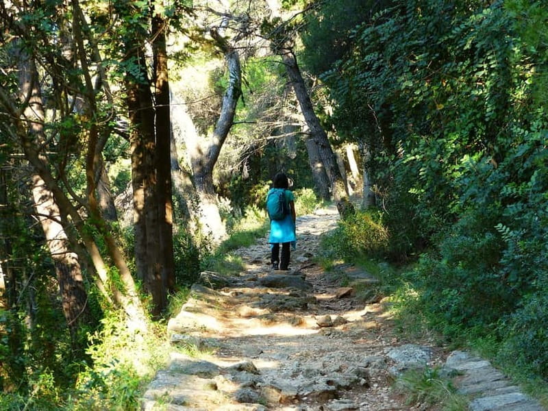 Dubrovnik: Rise and Shine Hike - Early Start From Boninovo, Not Old Town