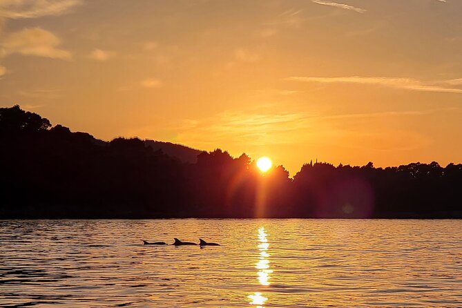 Dubrovnik Romantic Sunset Boat Tour - The Route: From Lapadska Obala Pier to Grebeni Lighthouse