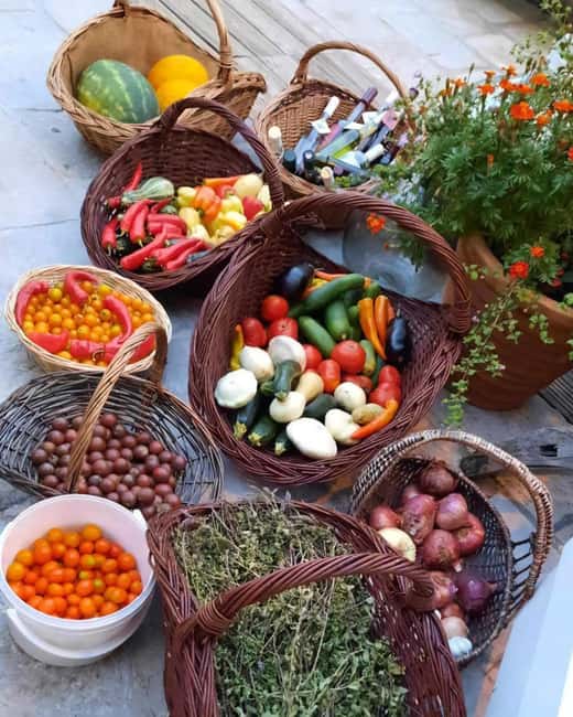 Dubrovnik Scenic Tour & Lunch/Dinner at Country Estate - Price and Value: Is $435 for Up to 6 a Good Deal?