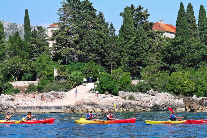 Dubrovnik: Sea Kayaking & Snorkeling Tour - Betina cave snorkeling: what the swim stop is like