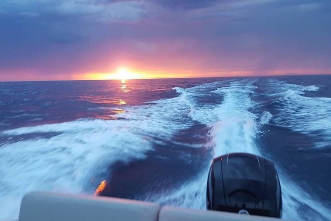 Dubrovnik Speedboat Quicksilver 675 Private Tours - Sunj Beach: Another 1-Hour Swim-and-Snorkel Break