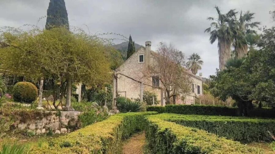 Dubrovnik Views & Trsteno Botanical Garden Experience - The History Lesson That Turns Views Into Meaning