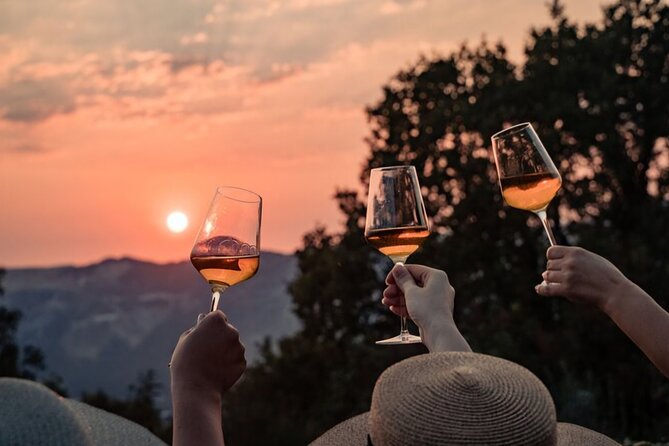 Dubrovnik Walk & Wine: Old Town Walking tour with a Glass of Wine - Key points to know before you go