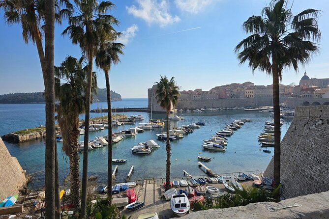 Dubrovnik Walking Tour with a FREE Polaroid Photo - A Free Polaroid Photo That Actually Feels Like a Souvenir