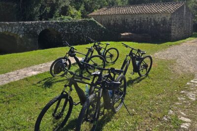 E-Bike Tour + Gourmet Snack + Wine Tasting (Small Group)
