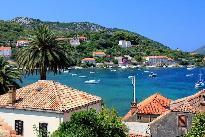 Elafiti Islands Private Tour with Fisher 20 Speedboat - Šunj Beach: the sandy finish that families usually love