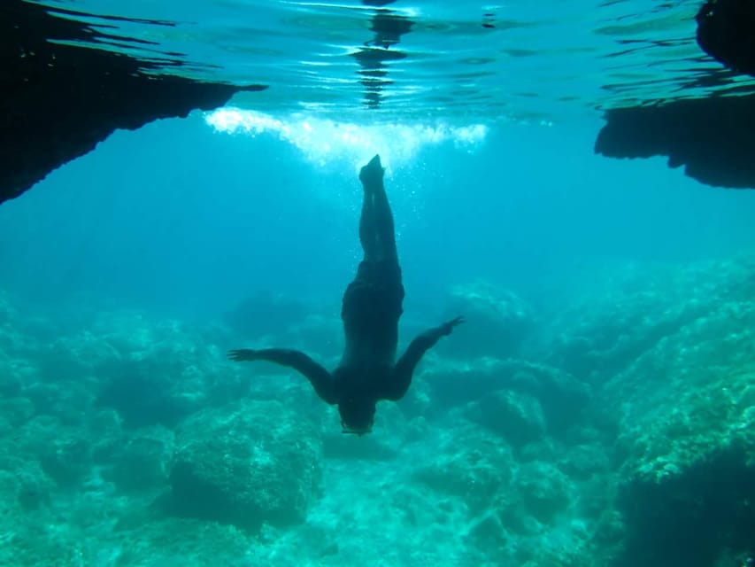 Elaphite Cave & Kayak Tour - Key points to know before you go
