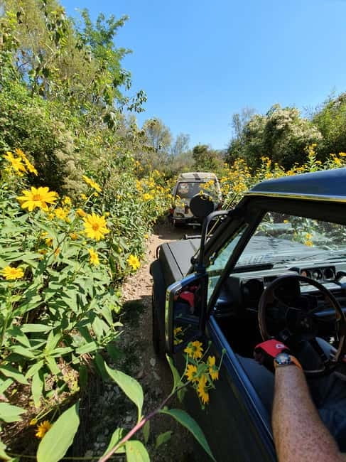 From Cavtat: Konavle Valley Off-Road Jeep Safari with Lunch - Ljuta watermills and the spring walk: culture plus a breather
