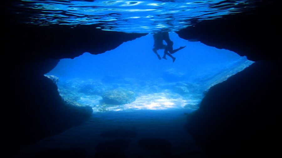 From Dubrovnik: Full-Day Private Boat Tour of Elafiti Island - Price and value: what $470 per group buys you