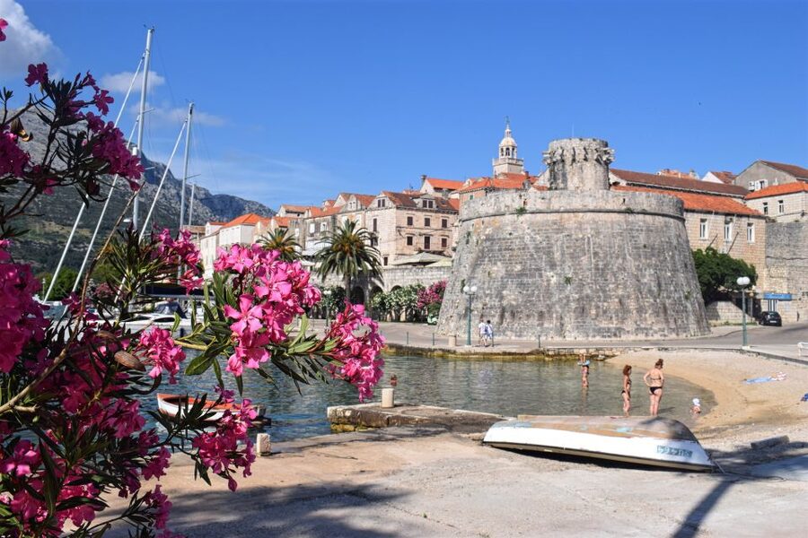 From Dubrovnik: Guided Tour of Pelješac & Korčula - Price and value at about $91 for 11 hours