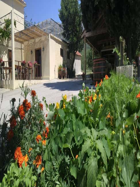 From Dubrovnik: Half-Day Wine Tasting and Cavtat City Tour - Konavle Valley First, Cavtat Later: the flow that keeps it fun
