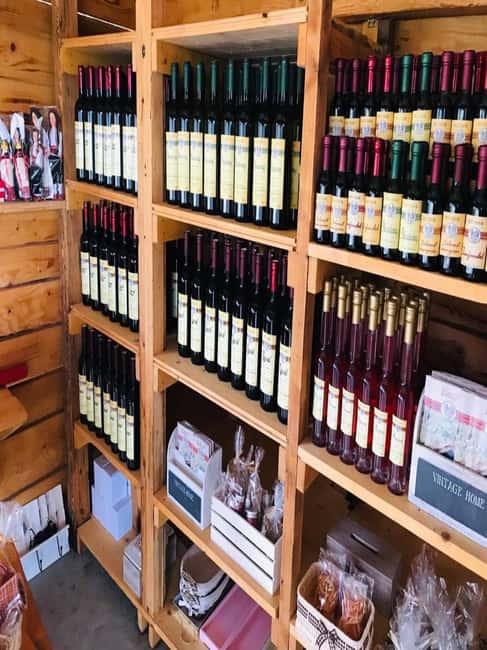 From Dubrovnik: Half-Day Wine Tasting and Cavtat City Tour - The tasting itself: wines, homemade food, and liqueurs you’ll remember
