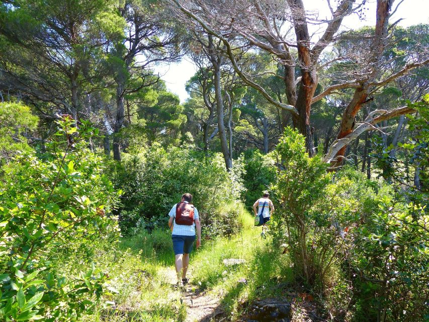 From Dubrovnik: Hiking & Swimming on Koločep Island Day Trip - Snacks Included, and Why That Small Detail Helps