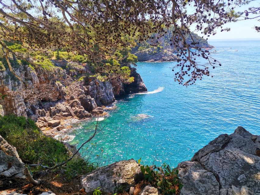 From Dubrovnik: Hiking & Swimming on Koločep Island Day Trip - Who This Tour Fits Best on Koločep, and Who Should Skip It