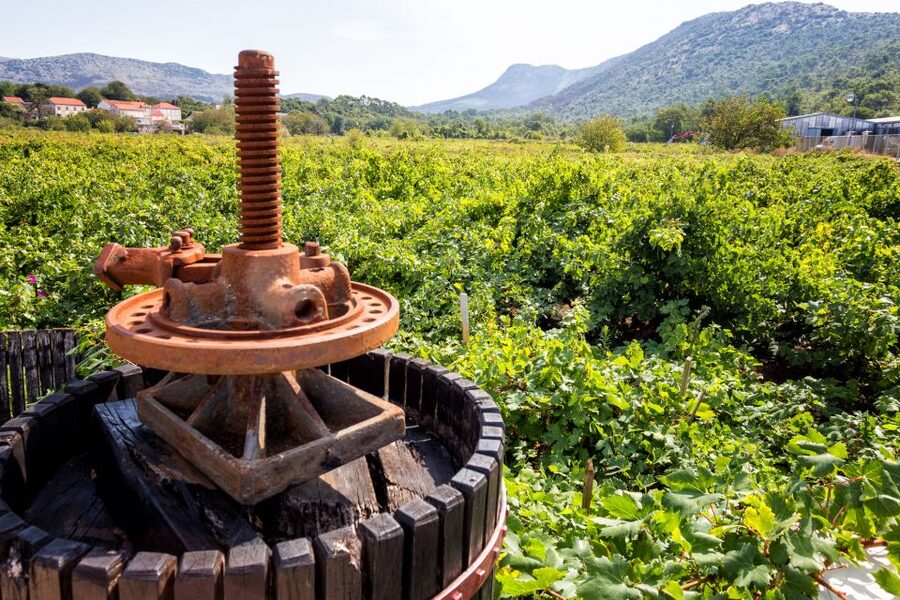 From Dubrovnik: Island of Korčula with wine tasting - Key things I’d circle on your planning map