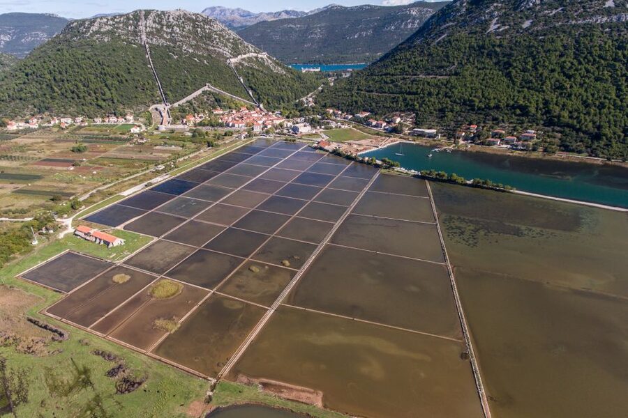 From Dubrovnik: Island of Korčula with wine tasting - Korčula Old Town and the Marco Polo birthplace