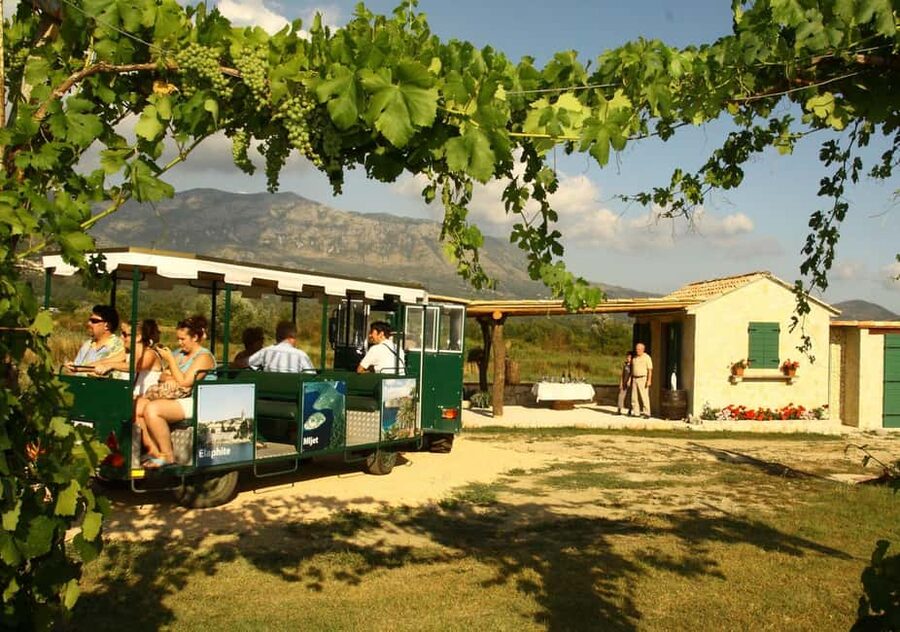 From Dubrovnik Konavle wine tasting tour and Cavtat - Cavtat in about an hour, enough time to feel the town