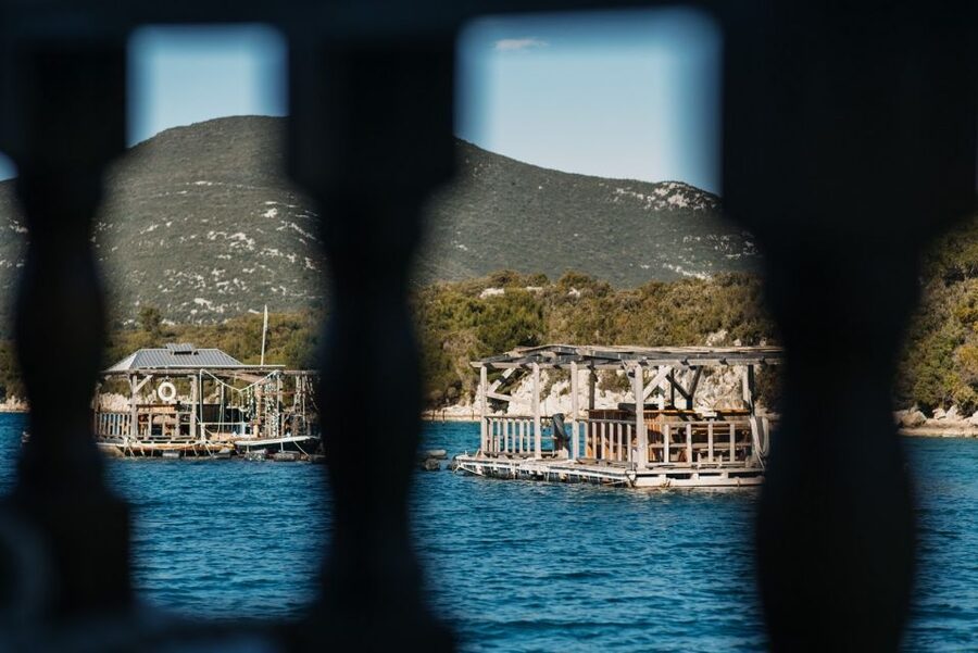 From Dubrovnik: Mali Ston Oyster Paradise Tour with Transfer - Timing that works, and how to prepare