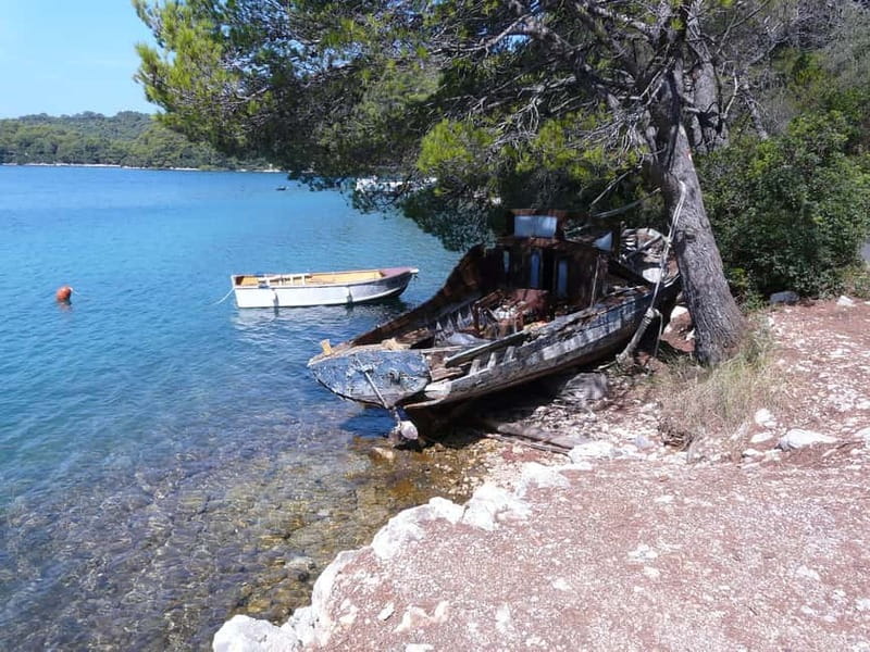From Dubrovnik: Mljet Island Guided Catamaran Day Tour - Veliko jezero and Malo jezero, plus the boat ride you actually need