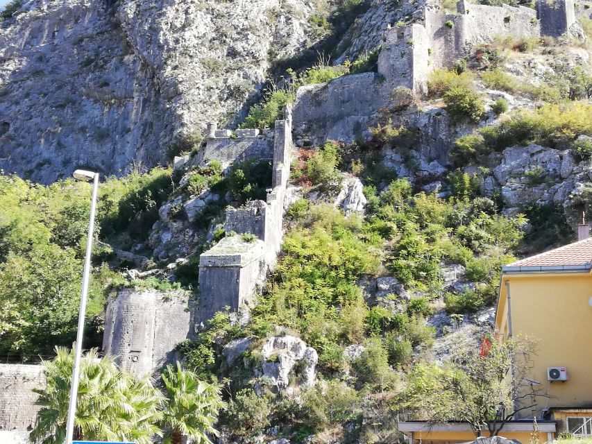 From Dubrovnik: Montenegro, Kotor City Tour - What to bring, wear, and avoid on the full day