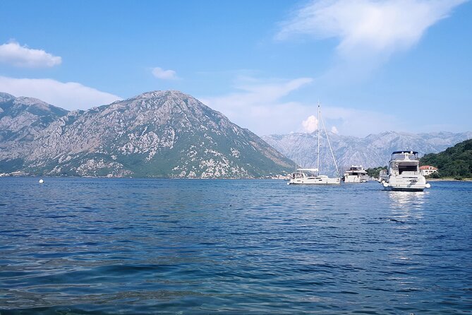 Full-Day Group Tour of Montenegro Coast from Dubrovnik - The Return Route: Panoramic Drive, Herceg Novi, and the Ferry Back