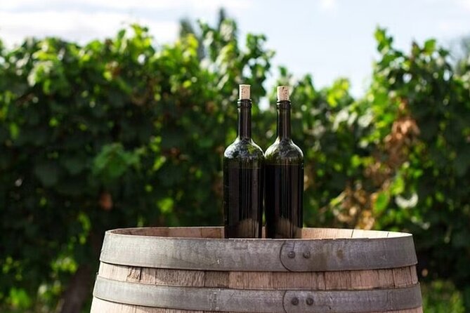 Full Day Korcula and Peljesac Wine Tasting Tour in Dubrovnik - Stop in Ston for coffee, walls, and salt-pan atmosphere