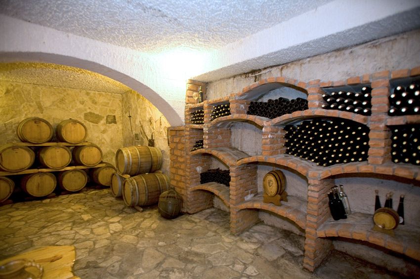 Full-Day Peljesac Wine Tour - Dingac Vineyards: The One-Hour Walk That Changes How You Taste
