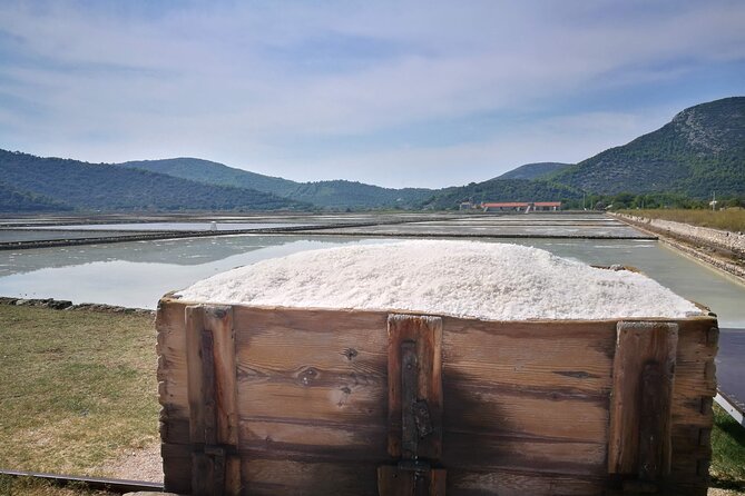 Full Day Private Tour to Trsteno, Ston and Pelješac Wineries - Grgić Vina: classic Pelješac grapes with a view to match