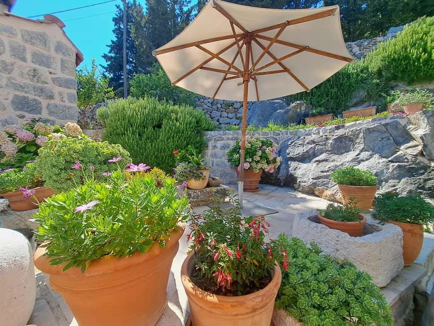 Gastro Sunset Tour - The scenic drive along the Adriatic, then a village meal setting