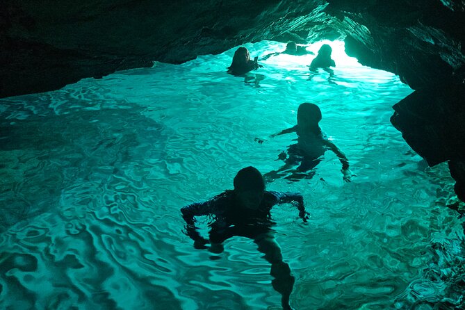 Green Cave Sea Kayak Day Tour in the Elaphiti islands - Sipan’s olive record and why the stop is worth your time