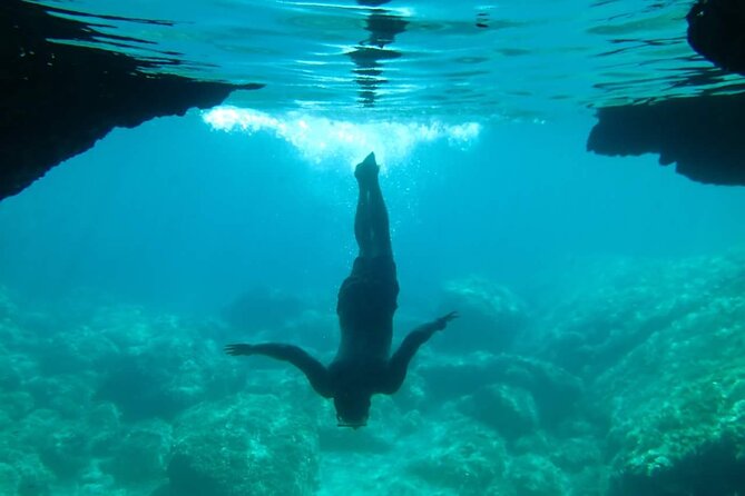 Green Cave Sea Kayak Day Tour in the Elaphiti islands - Price and value: what $90.07 buys you in a full day