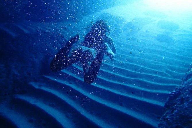 Guided Kayaking and Snorkeling Tour to Green Cave and Sipan Island from Lopud - Price and What You Actually Get for $81.39