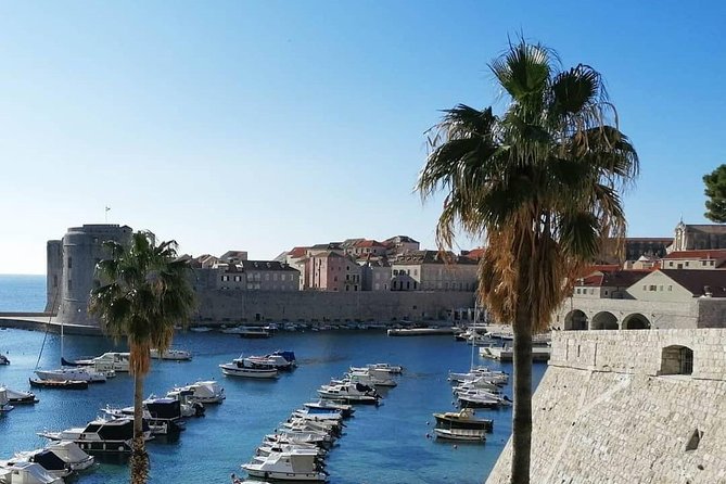 Guided Tour to discover Dubrovnik's Old Town, by day or night - Key Highlights You Will Actually Care About