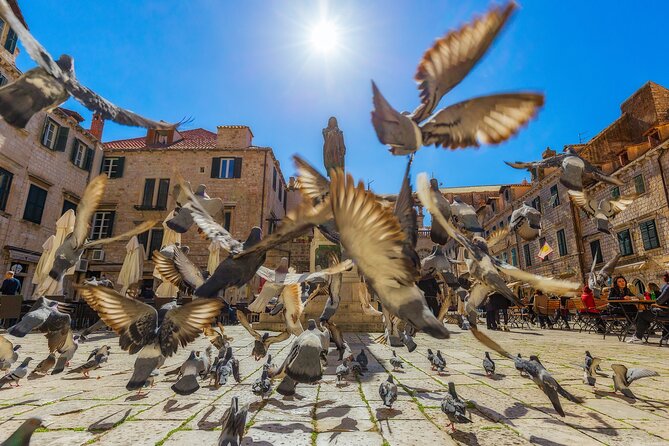 Guided Tour to discover Dubrovnik's Old Town, by day or night - History Clocks Back to the 7th Century